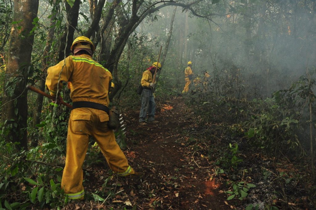 Australia crea una comisión para investigar recientes incendios forestales