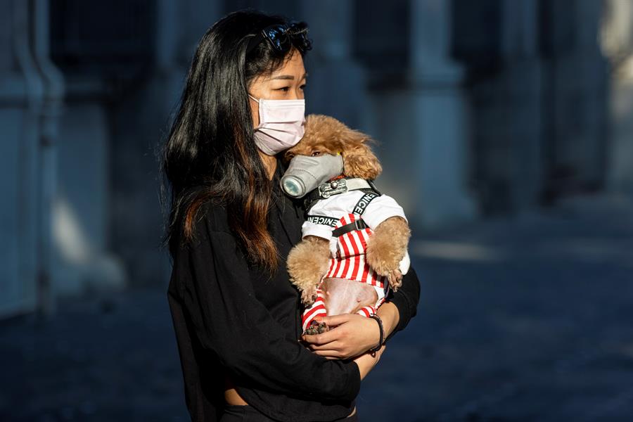 Confirman infección por COVID- 19 en perro en Hong Kong