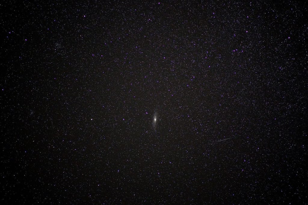 Un nuevo cometa será tan brillante en el cielo como Venus
