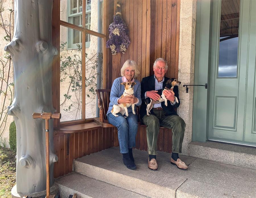 Carlos y Camila celebraron aniversario de boda con sus perros