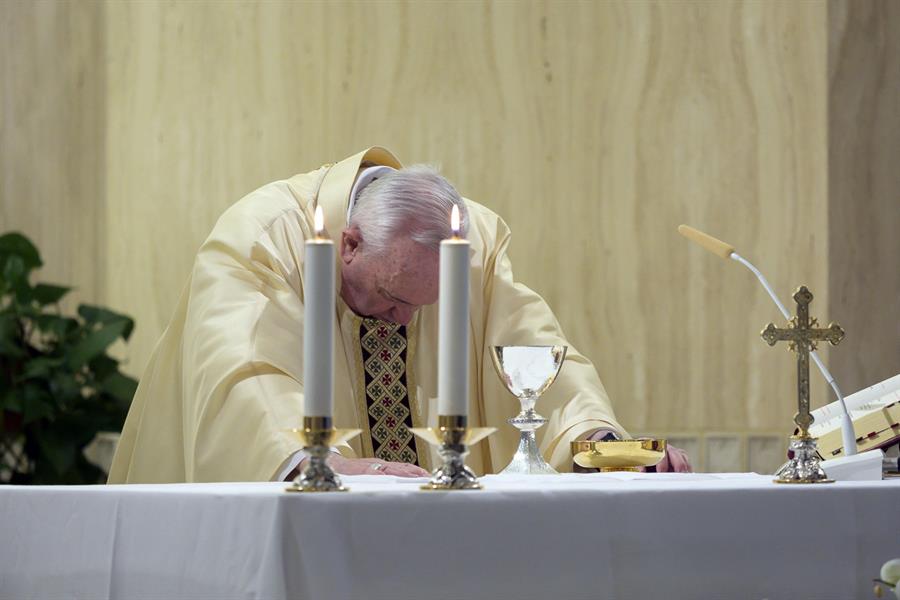 El papa afirma que fallamos en proteger la tierra