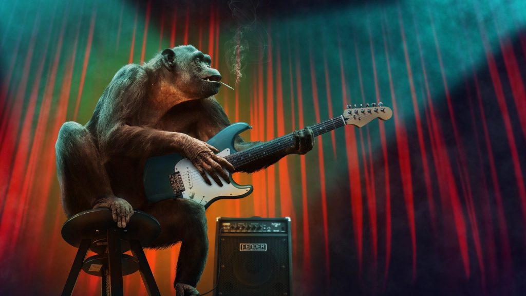 Algunos animales pueden identificar el ritmo de las canciones