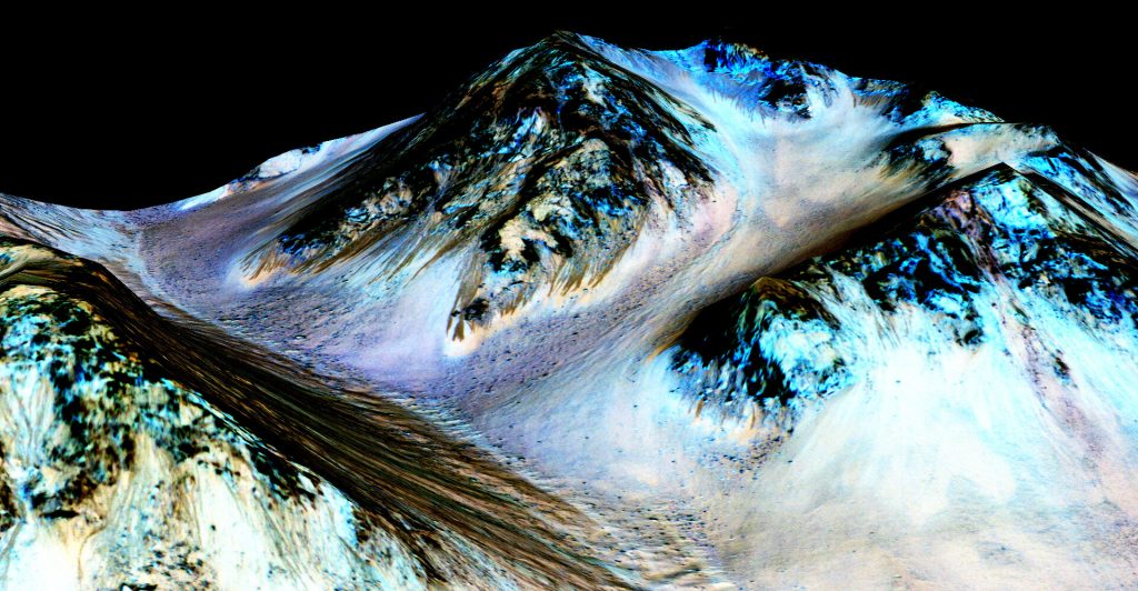 Dudan que salmueras de Marte puedan albergar vida terrestre