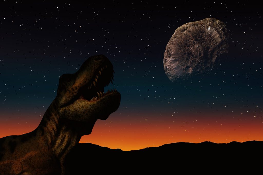 Los asteroides también celebran su día este martes