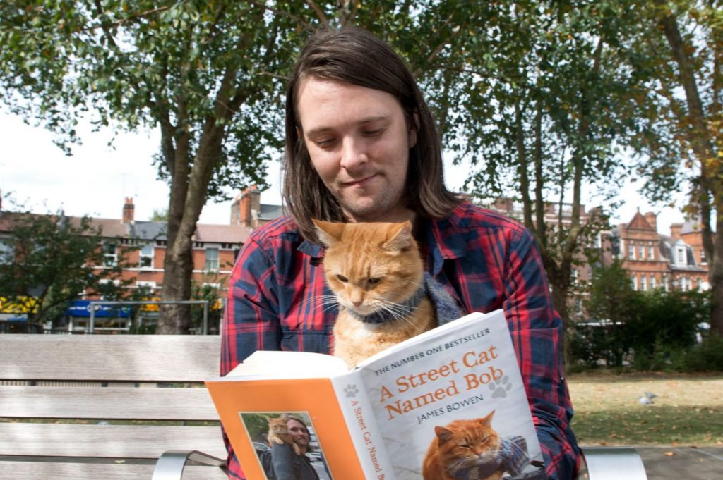 Falleció Bob, el gato que inspiró el libro A Street Cat Named Bob