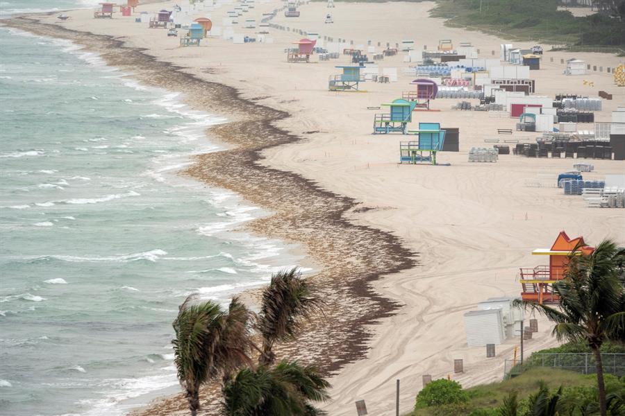 Miami Beach empieza a recibir turistas posconfinamiento