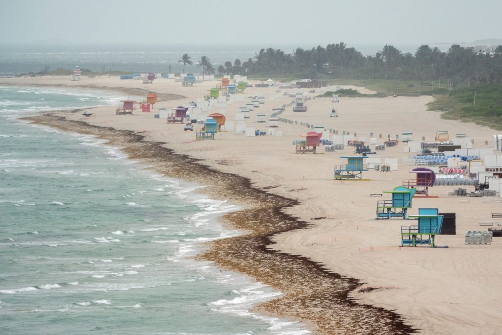 Miami celebra la apertura de sus playas