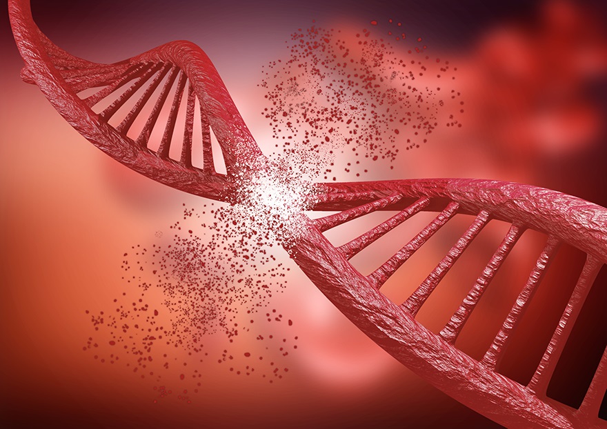 ¿Conoces sobre la primera secuencia completa del cromosoma humano?