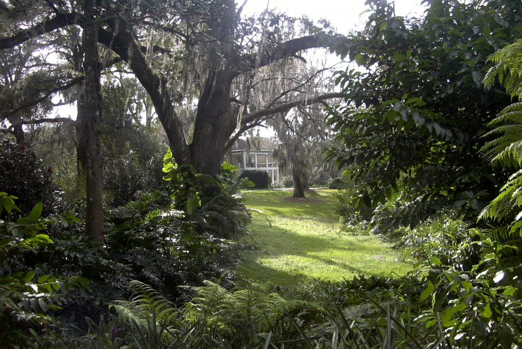 ¿Qué lugares visitar en Florida Central este verano?