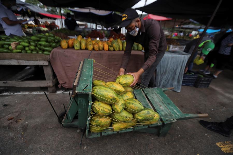 Pandemia puede causar conmoción histórica en alimentación