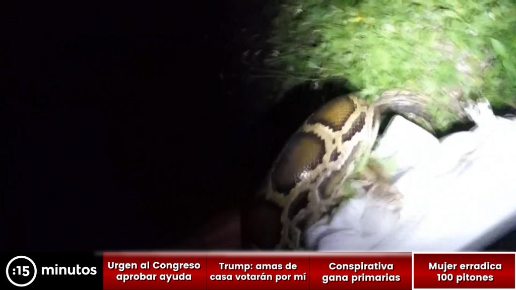 Llega al Congreso la primera defensora de la teoría conspirativa QAnon