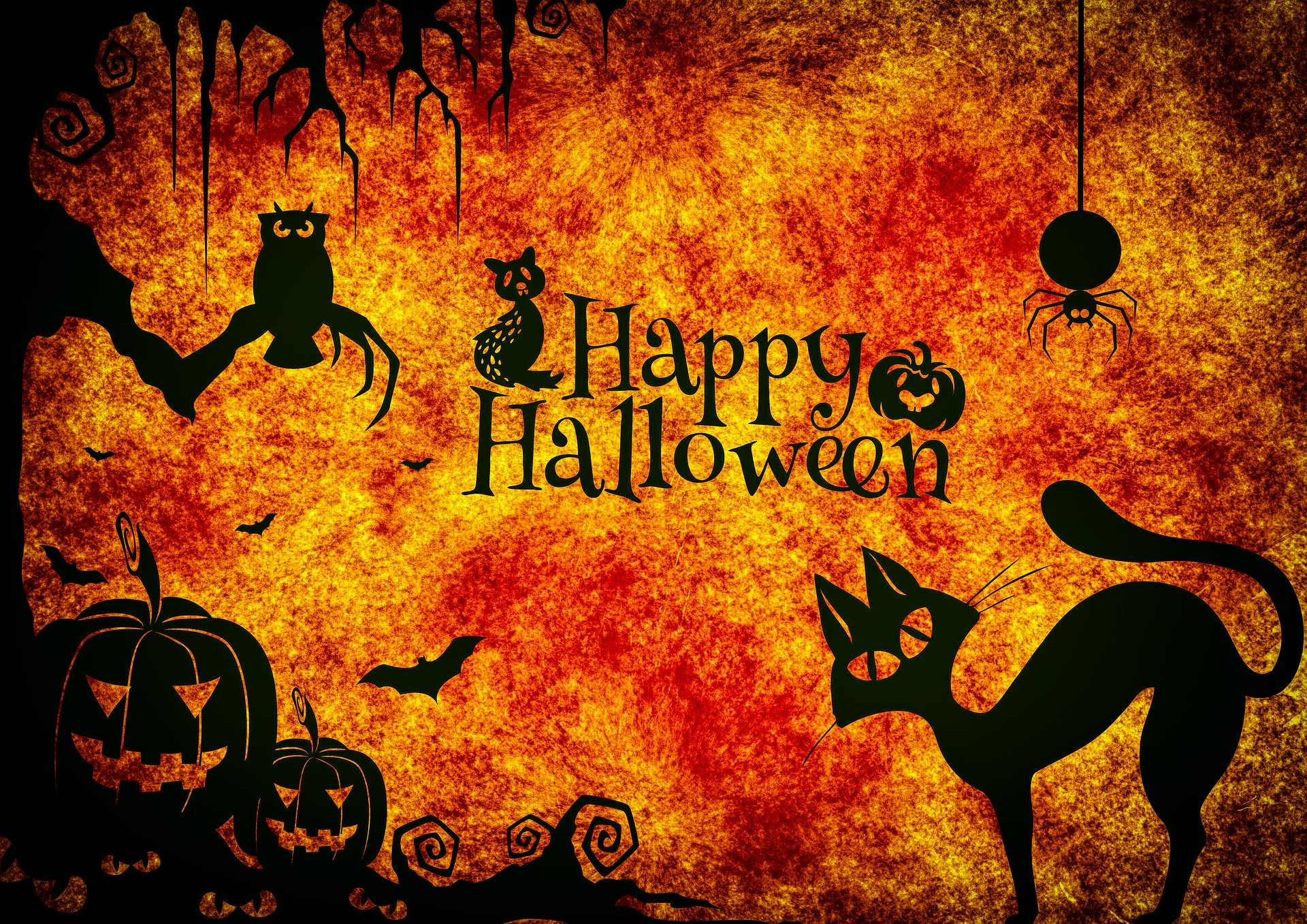 En Orlando, ¡vivirás Halloween sin bajarte de tu auto!