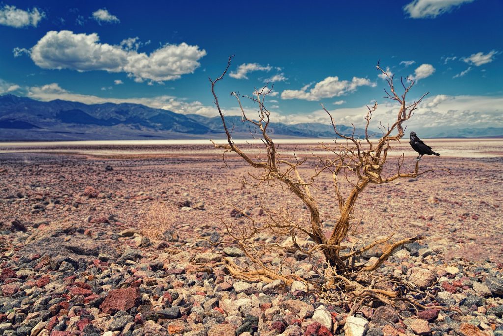 ¿Nuevo récord? Jamás había hecho tanto calor en el Valle de la Muerte