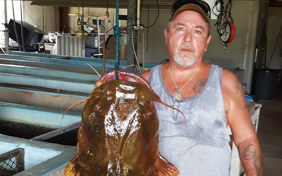 El bagre de un pescador de Florida rompe récord estatal