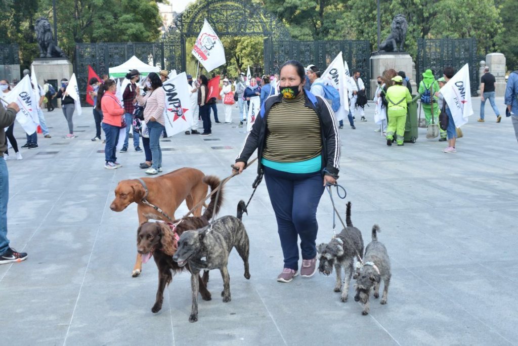 La obesidad es la segunda condición más frecuente en pacientes con COVID-19 en México