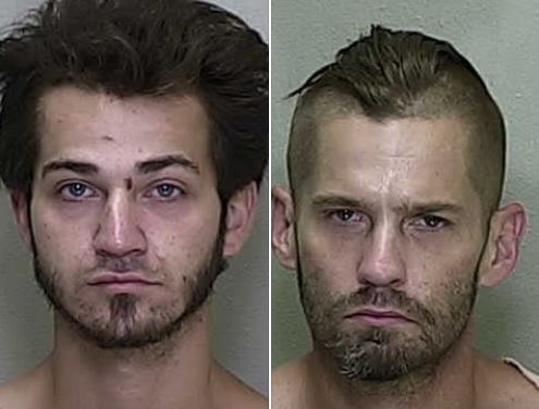 Tonto y retonto sí existen y fueron capturados en Florida