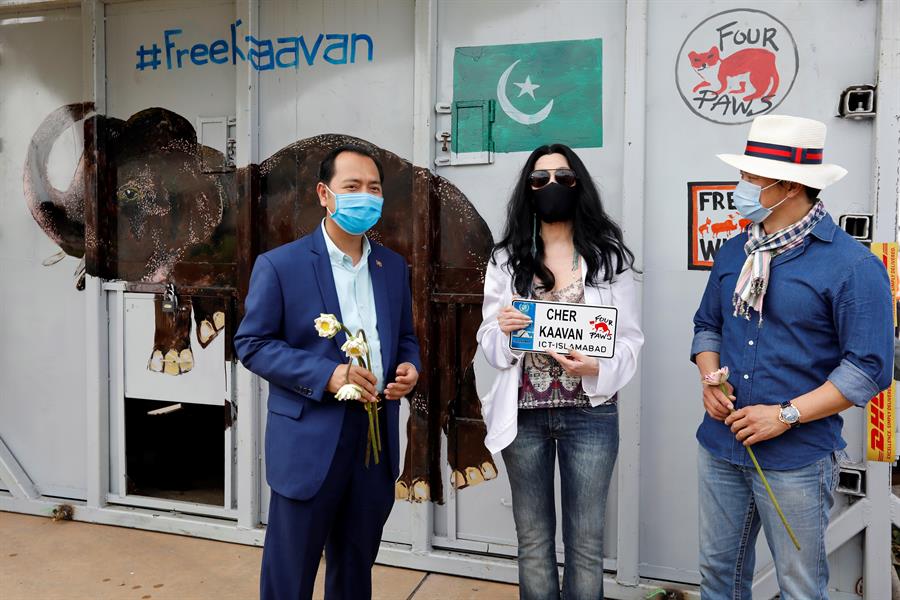 El elefante Kaavan llegó a su nueva casa en Camboya y fue recibido en el aeropuerto por Cher