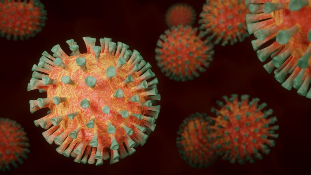 Claves sobre el virus Chapare, un viejo conocido en Bolivia