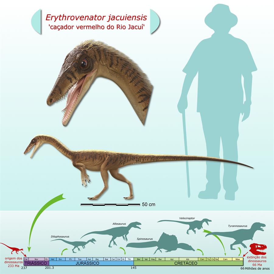 Uno de los antepasados más antiguos del Tyrannosaurus Rex vivió en Brasil hace 230 millones de años