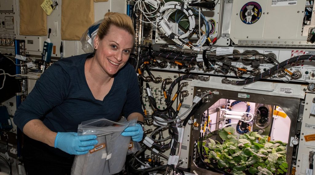 ¡En 27 días! Astronauta de la NASA cultivó los primeros rábanos espaciales y grabó el proceso