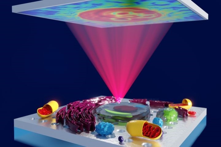No lo ves... pero ahora sí: una técnica casi centenaria hace visible lo invisible sin trucos de magia