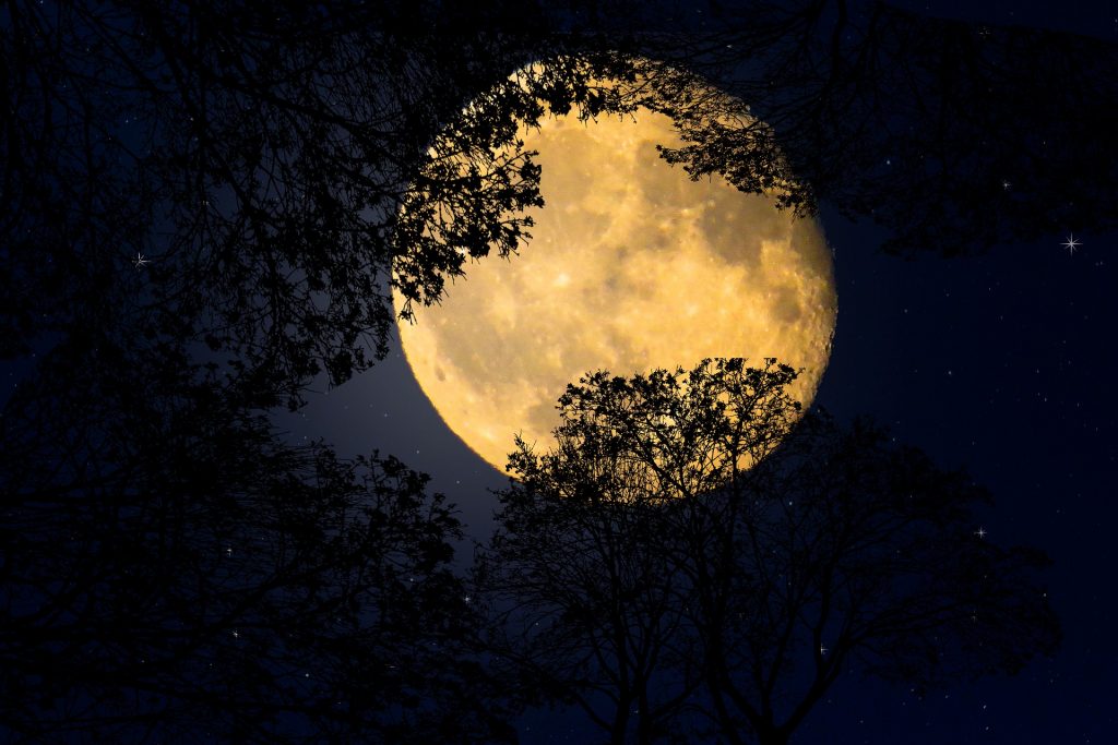 Del cielo a la cama: tu hábito de dormir puede verse afectado por la Luna llena