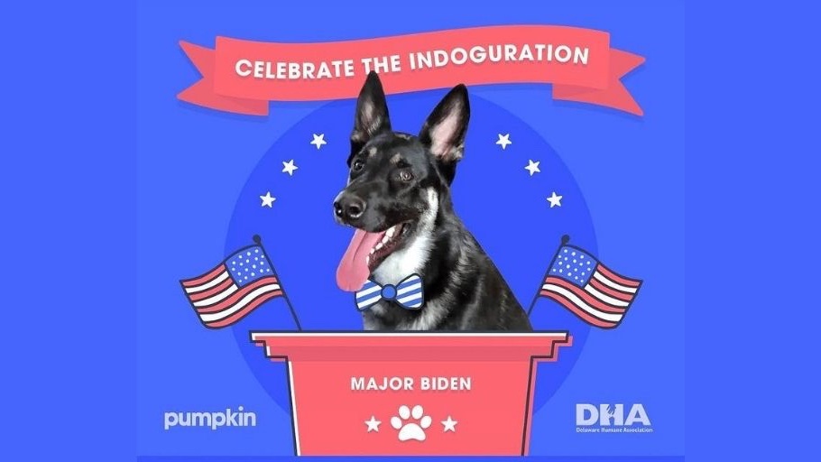 Major, el perro de Joe Biden, tuvo su propia "indoguration"