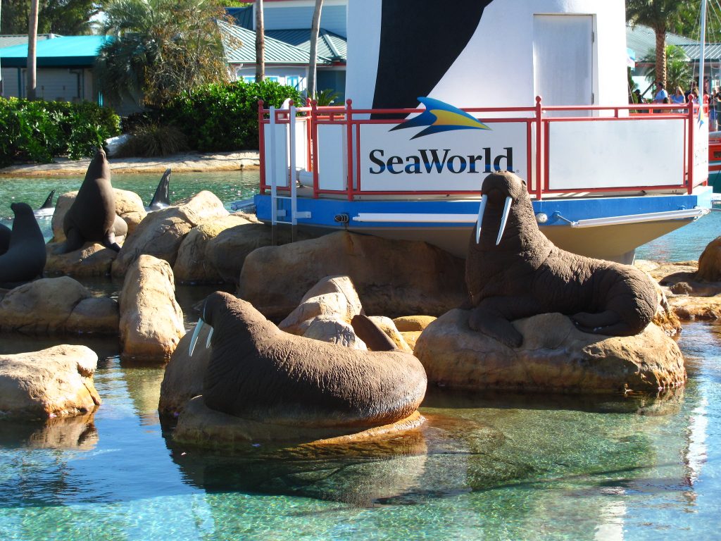Los niños de 5 años o menos entrarían gratis a SeaWorld Orlando y otros parques