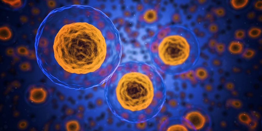 Células "asesinas" activadas por nanopartículas ayudan a eliminar el VIH