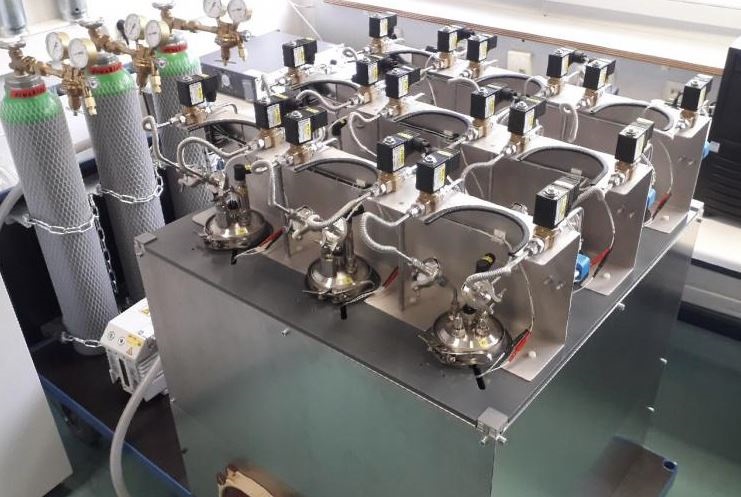 Cultivaron con éxito cianobacterias simulando las condiciones de Marte