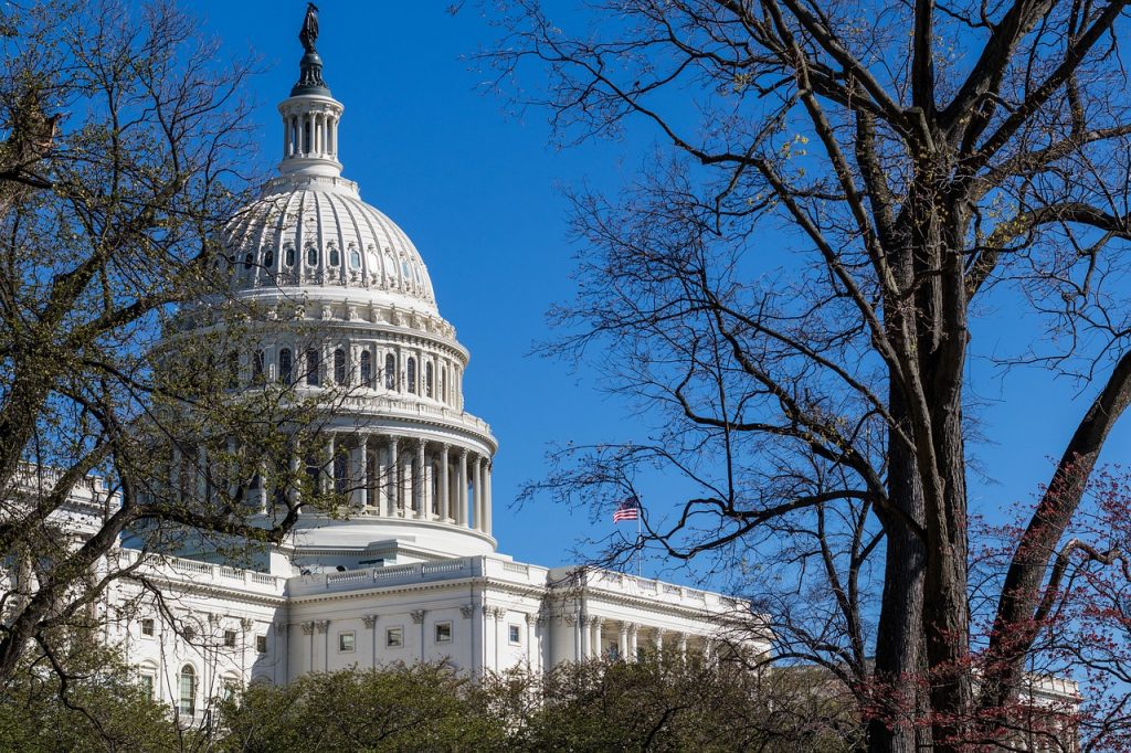 Cámara Baja de EEUU suspende sesión del jueves ante alerta en el Capitolio