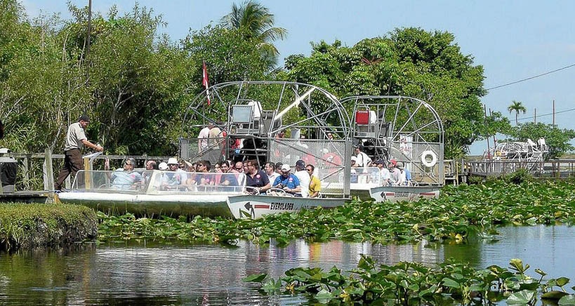 Ofrecen recompensa de US$ 10.000 por información que identifique a autor de incendios en Everglades