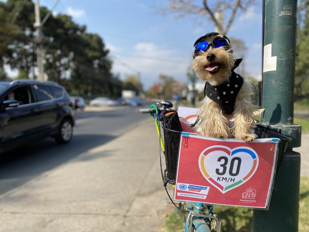 Máximo 30 km/h: OMS pide limitar la velocidad en zonas urbanas para reducir las víctimas por accidentes