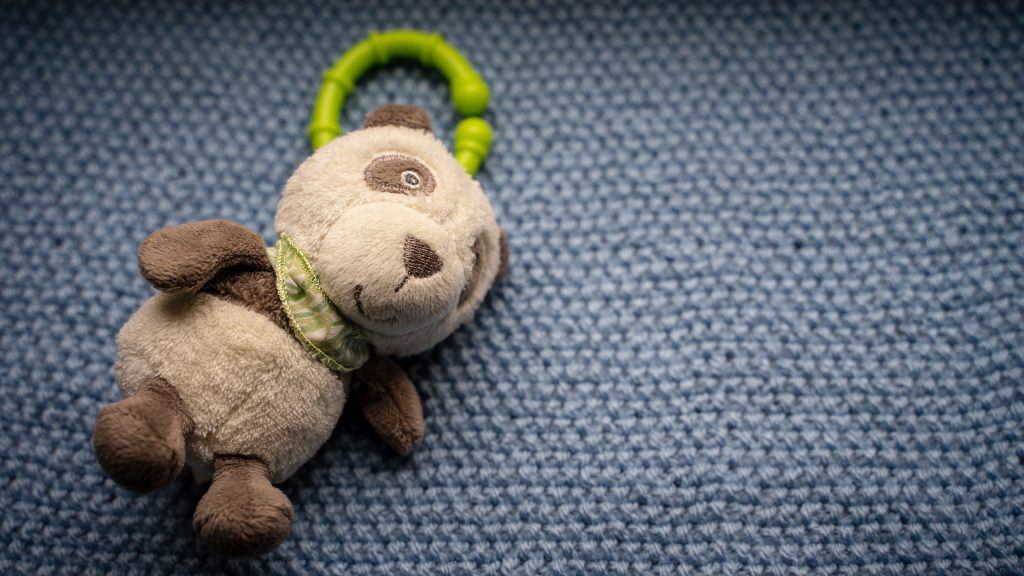Una ley busca evitar que más niños mueran olvidados dentro de los vehículos en Florida