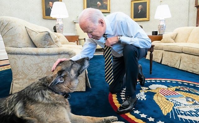 Muere Champ, uno de los pastores alemanes de los Biden