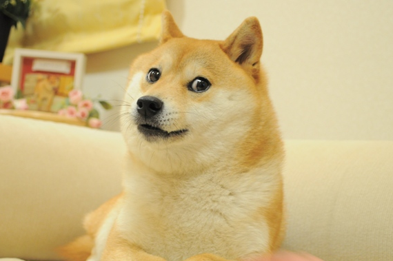 Conoce en cuánto se subastó el NFT del meme Doge