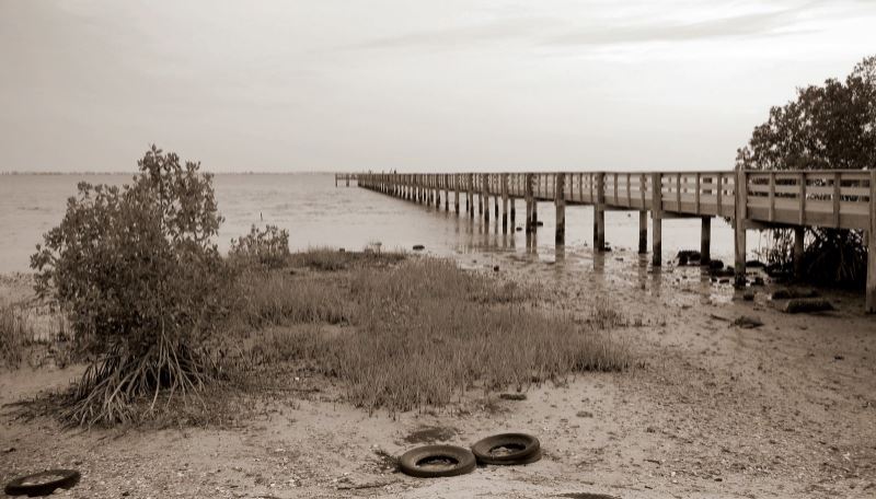 Conoce qué encontró un hombre que limpiaba una playa en Florida