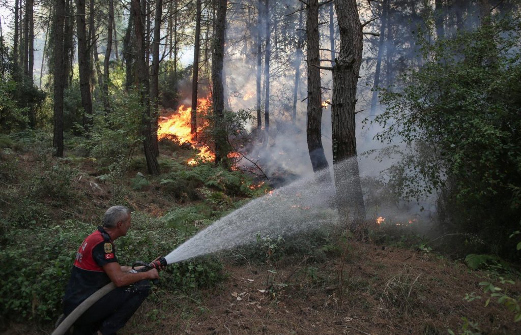 Al menos 6 muertos por devastadores incendios en Turquía