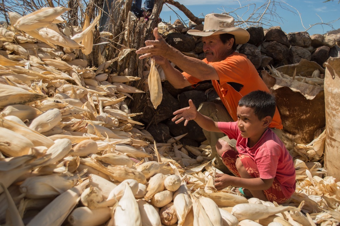 ONG advierten sobre impactos de la COVID-19 y el cambio climático en los pueblos indígenas