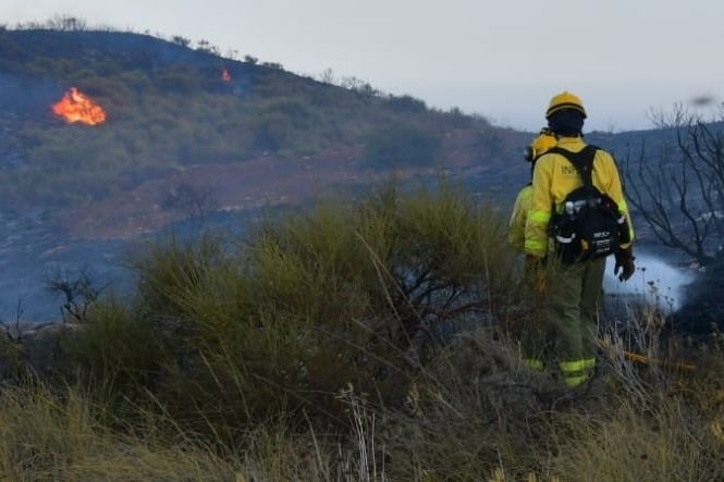 Primer estudio mundial sobre la contaminación de los incendios forestales revela un cruda realidad