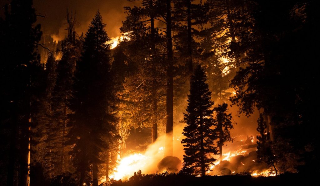 Biden declaró el estado de desastre mayor en California debido al incendio Caldor