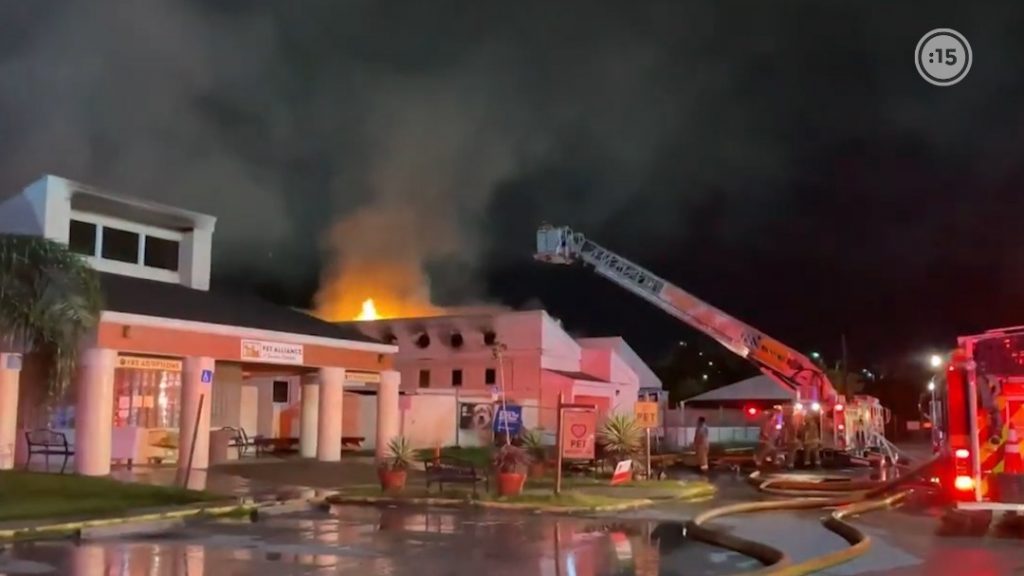 Más de 20 gatos murieron en incendio del refugio Pet Alliance of Greater en Orlando