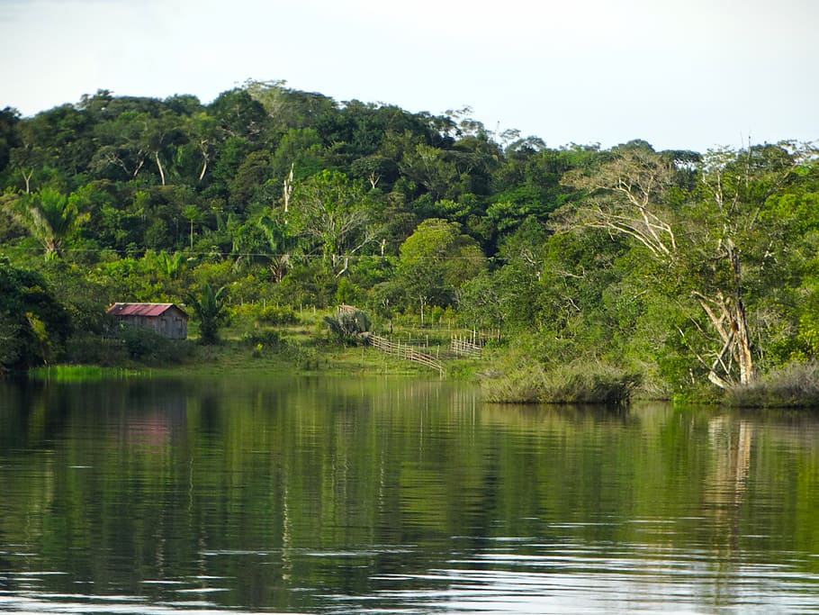 Facebook prohíbe la venta de terrenos de alto valor ecológico en el Amazonas