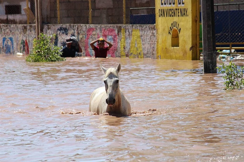 Huracán Pamela dejó más de 10.000 damnificados en México