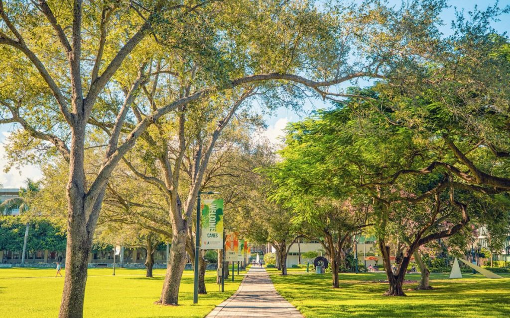 Universidad de Miami empezará clases el 18 de enero en remoto