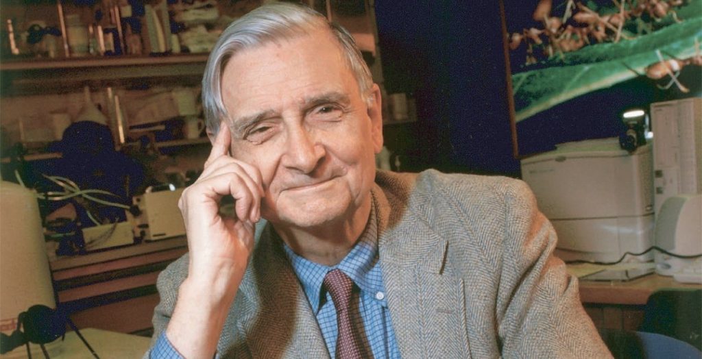 Falleció Edward O. Wilson, el padre de la biodiversidad
