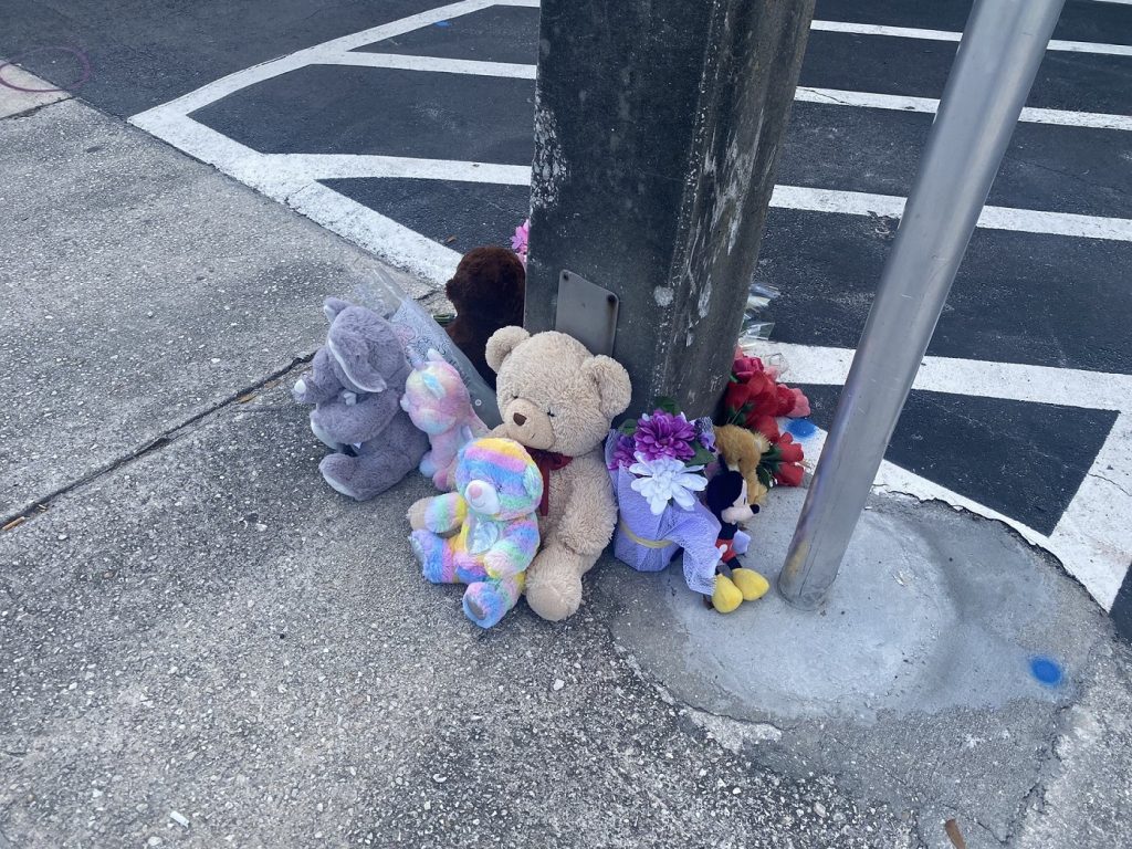 Arrestaron al conductor responsable del atropello de 6 niños en Florida