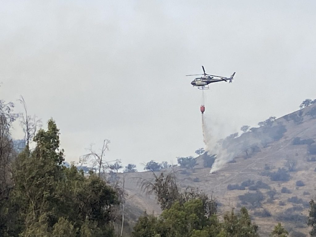 Más de 11 mil hectáreas de bosques se pierden tras incendios en Chile