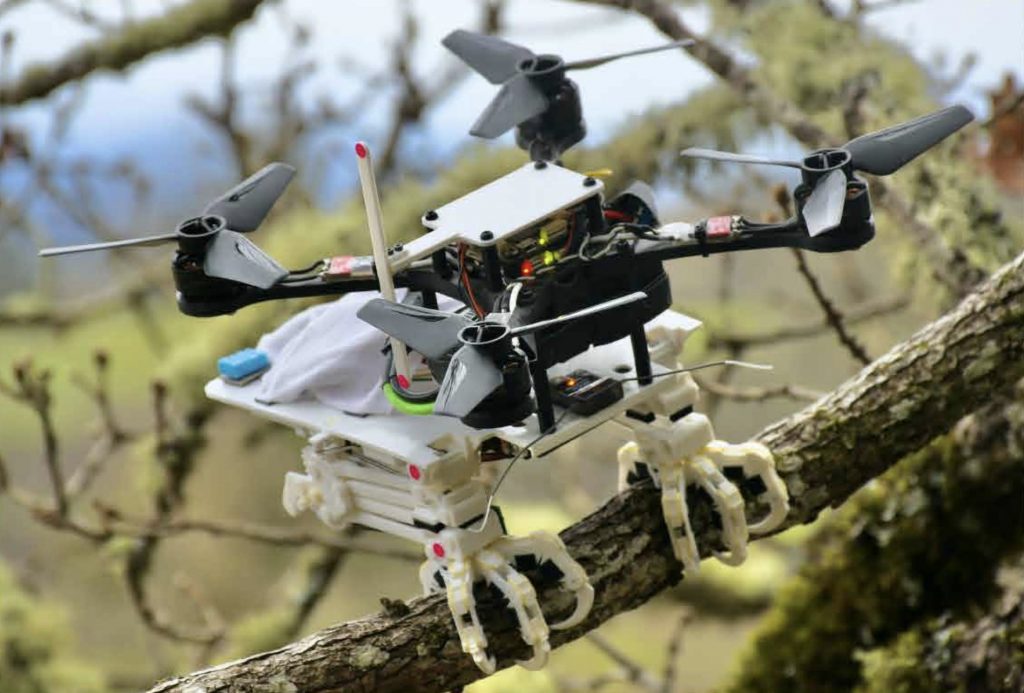 Un robot con patas inspiradas en el halcón para posarse como un pájaro