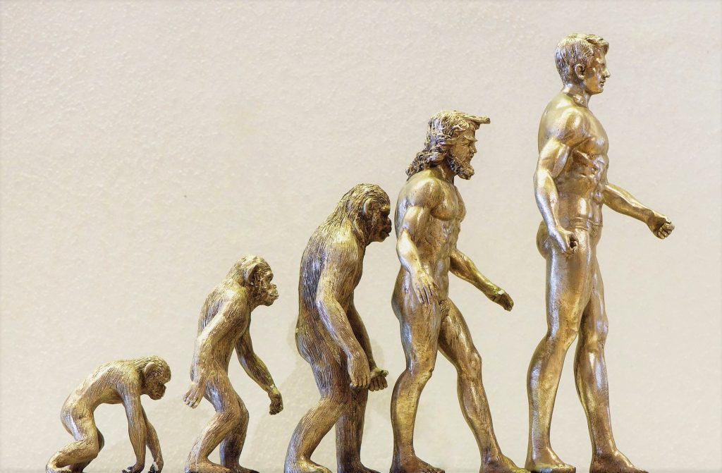 Crean una aplicación que reconstruye el pasado evolutivo de los humanos